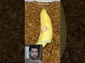 10000 Worms vs Banana#timelapse#short#viral