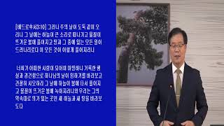 [특강15] 천년왕국과 그리스도 통치