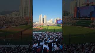 부산 #롯데자이언츠 기세 #현장직캠 #사직야구장 만원 파도타기 응원  busan kbo baseball lottegiants 롯데응원가 육성응원 오프닝 기아타이거즈 20230603