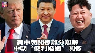 明镜之声｜中国和朝鲜的“便利婚姻”关系，朝鲜是下一个巴基斯坦还是以色列？习近平对台一国两制，就是改变现状！贸易战与朝鲜核问题错综复杂，美中朝关系难分难解（20190110-3）