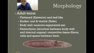 Trematodes Part 1