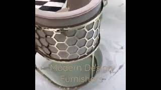 Modern Stainless steel chairs