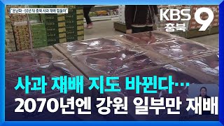 온난화로 사과 재배 지도 바뀐다…2070년엔 강원 일부서만 재배 KBS 20220424