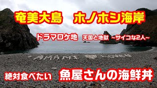 奄美大島は雨でも楽しい　ホノホシ海岸・ヤドリ浜を巡って極上の海鮮丼を食す