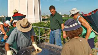 Great French Bordeaux Wines: Discovering Château Lafitte and Château Haut Brion