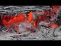 After Royal Gardens Molten Lava Heads 2 Miles To The Ocean