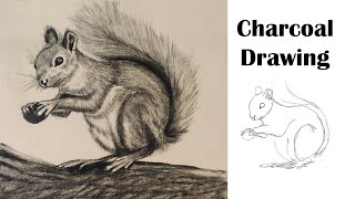 How to Draw a Squirrel in Charcoal: Easy & Detailed