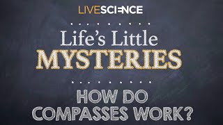 How Do Compasses Work? — Live Science