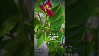 【VaLa 衣著時尚｜50-120公斤都能駕馭】小編日常❣️