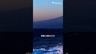 【黄金探索】まだ眠っている？徳川埋蔵金の在処を追え　#shorts #1分動画  #都市伝説