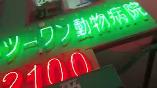 野田草履　健康の為の1万歩ウオーキング　12日目。1