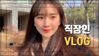 VLOG 내가 살찌는 이유? 💫 세종시 직장인 브이로그 25살 기록 / 유테이 (지극히 평범한 직장인의 일주일 일상)