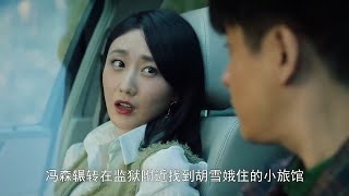 速看《巡回检察组》第27集：痴情女傅明月苦等米振东 张友成公开宣布张一苇被冤枉