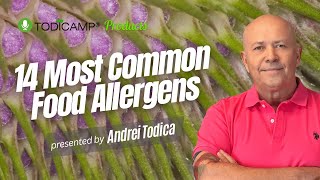 Top 14 Food Allergens Explained: Symptoms, Risks, and Management