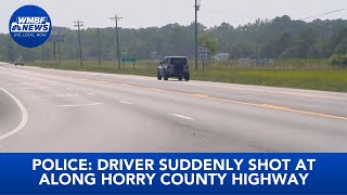 Police: Driver suddenly shot at along Horry County highway