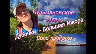 Соло прогулка от ст. Дубочки до ст. Большая Ижора. Пульмановское озеро.