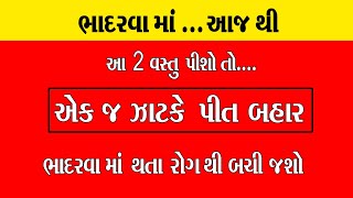 ભાદરવા માં આ 2 વસ્તુ પીશો  તો ....શરીર માંથી પિત્ત એક જ ઝાટકે બહાર નીકળી જશે ।। Pit ni deshi Dava