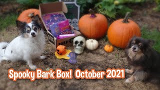 October Bark Box 2021 Review - Spooky Halloween Dog Toys \u0026 Treats #barkbox #barkboxday #dogs