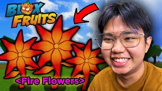 Blox Fruits - HOW TO GET FIRE FLOWERS