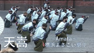 天嵩～Amata～  第7回横浜よさこい祭り  赤レンガ倉庫定点会場