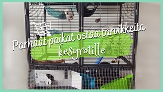 MISTÄ OSTAA ROTILLE TARVIKKEITA 🐀 (edullisesti!)