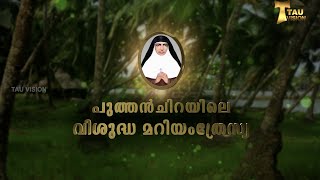 കുടുംബങ്ങളുടെ വിശുദ്ധ | Mariam Thresia Chiramel | The Patroness Of Families | www.tauvision.com