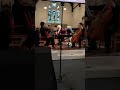 Taster of a light classical, jazz, & pop performance.