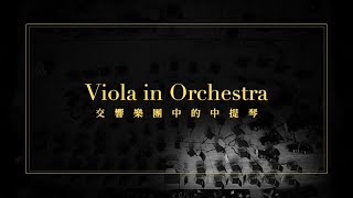 交響樂團中的中提琴 Viola in Orchestra