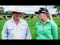 Managing Livestock Grazing Cereals & Lush Pastures