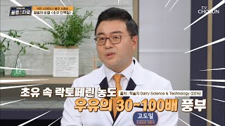 갱년기 이후 줄어드는 골밀도 증가 돕는 초유 속 CBP💝 TV CHOSUN 211203 방송  | [순간의 선택 골든타임] 43회 | TV조선