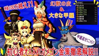 盗み金策ガチ勢によるガメゴン（大きな甲羅、幻獣の皮）金策徹底解説　まも２賊２