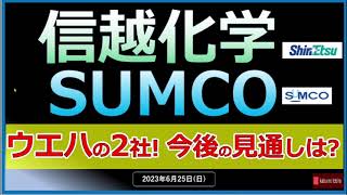 【ウエハ】23/6/25（日）信越化学/SUMCO ウエハ大手2社！　半導体需要の拡大で今後の見通しは？😃