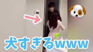 【犬系彼女】無言で出て行こうとしたら… #shorts