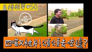 【直播精華#50】四喵又被片 頌頌去咗邊