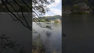 #viralshort #viralvideos #Nuwara#Dalada maligaya#kandy#trending #travel #sri lanka#beauty#nature#