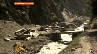 Pakistani community combats illegal logging