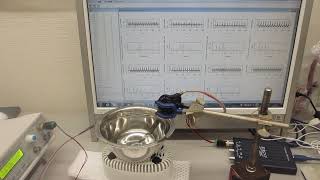 ステンレス容器の設置・固定方法による、超音波の非線形制御技術ーーダイナミックに変化する振動の測定解析技術の応用ーー（超音波システム研究所）