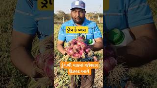 ડુંગળી પાકમાં જોરદાર રીઝલ્ટ આવે છે || એક દવા || #live #food #news #apmc #yt