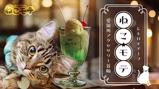 ねこモテ レトロ猫首輪 　新発売