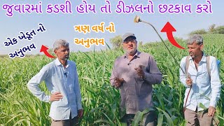 જુવાર માં કડશી હોય તો ડીઝલનો છટકાવ કરો ||એક ખેડૂત નો અનુભવ || ખેડૂત નો ત્રણ વર્ષ નો અનુભવ ||