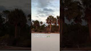 A white Christmas! Merry Christmas from Florida’s Forgotten Coast!  🎅 🎄 #christmas #atthebeach