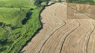 FAZ 195 - Fazenda na Região de Tiete / SP. com 52 alqs frente para o asfalto