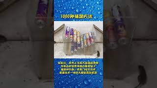 最好用的1000种捕鼠方法（4）