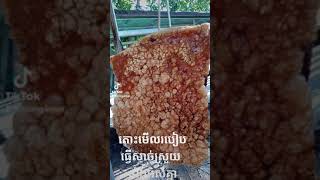 របៀបធ្វើសាច់ជ្រូកស្រួយ