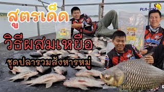 วิธีผสมเหยื่อตกปลา ปลายิ้ม ชุดปลารวมสังหารหมู่(คลิปที่ 377)