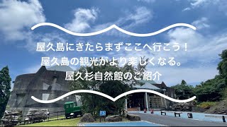 【屋久島トレッキングガイドNo.7】屋久島に来たらまずここへ行ってほしい！現地ガイドおすすめの、屋久島を楽しめる施設をご紹介。