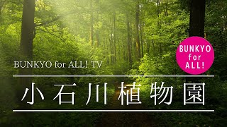 【BUNKYO for ALL！ TV】小石川植物園（2021.11.2 Facebookライブ配信）