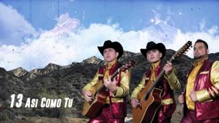 Asi Como Tu  - Los Plebes del Rancho de Ariel Camacho - DEL Records 2016