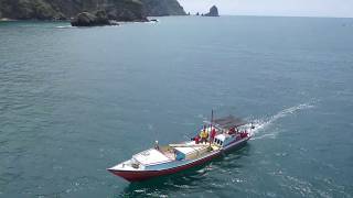 Aerial Cinematic Video Pantai Puger Jember | Visit Jember | Visit East Java