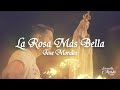 La Rosa Más Bella — Jose Morales Músico (Serenata a la Virgen María) En Vivo | MÚSICA CATÓLICA